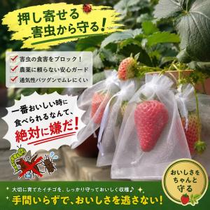 防虫ネット 果物 野菜 保存袋 10×15cm...の詳細画像2