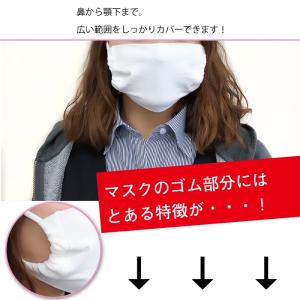 メール便4点までOK ナイロン製 洗える マス...の詳細画像1