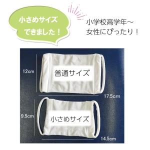 メール便4点までOK ナイロン製 洗える マス...の詳細画像4