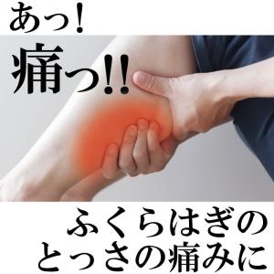 メール便2足まで ひきしめ! ふくらはぎ専用サ...の詳細画像1