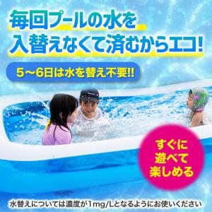 プール 塩素剤 10袋 個包装 ビニールプール...の詳細画像3