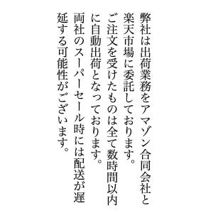 Yエイジ イーオン 30パッチ LIFEWAV...の詳細画像1