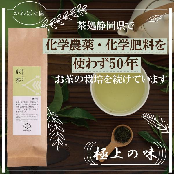 煎茶 100g 農薬不使用 高級茶 生茶 やぶきた かわばた園 静岡産