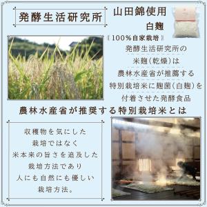 白麹 乾燥 500g×3袋 農林水産省推奨の特...の詳細画像3