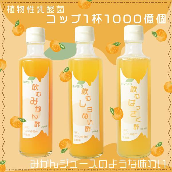 飲むみかん酢 はっさく酢 しらぬい酢 270ml×2本 1000億個の乳酸菌  防腐剤添加物不使用 ...