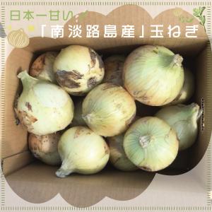 北海道 たまねぎ わけあり 北海道産 訳あり 玉ねぎ 20kg ( 20