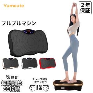 EMS振動ボード ハイブリッドコア HYBRID CORE（HC-BB30）振動EMS 振動