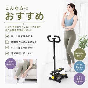 Yumcute ステッパー ツイストステッパー...の詳細画像2