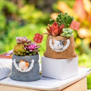 山野草鉢 信楽焼 手づくり 山草鉢 鉢 山草 コケ玉 手作り 植木鉢 陶器