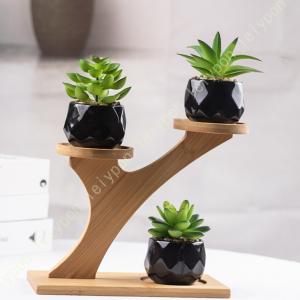 ゼンスイ 植物育成ライト EVERSUN365 MINI クリップ/スタンド/ライト