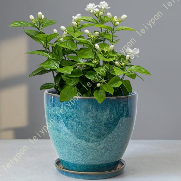 植木鉢 陶器鉢 白 おしゃれ 丸 受け皿付き 鉢 プランター 鉢植え 観葉植物 底穴あり 北欧 室内...