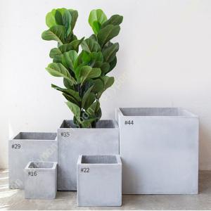 綱木紋(つなきもん) 鉢『Sスリット』(ギャザリング/寄せ植え/鉢/植木鉢