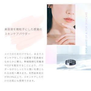 Lekarka 公式 イルミネイトパウダー 1...の詳細画像4