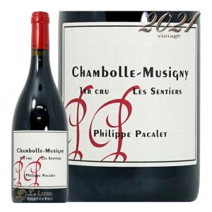 ランボルギーニ ザ レジェンド 750m スパークリングワイン ボックス 箱