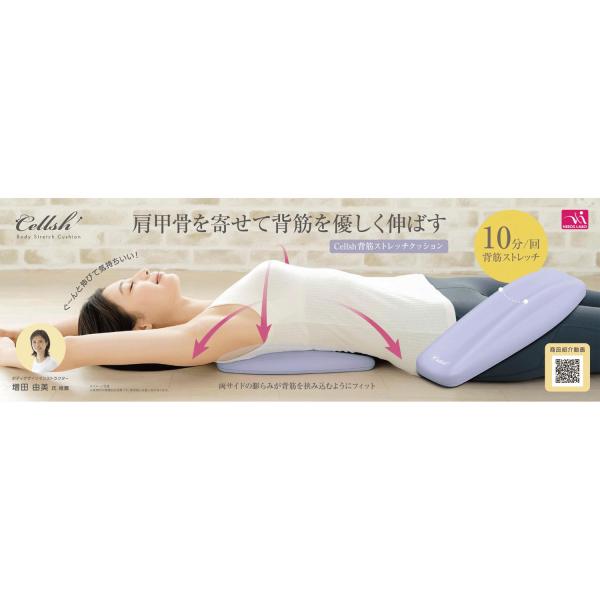 CELLSH 背筋ストレッチクッション