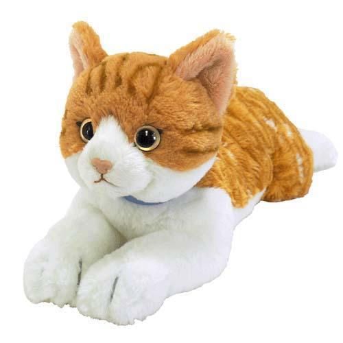 ぬいぐるみ ひざねこM チャシロ