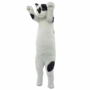 たっちぃZoo にゃんこ エキゾチック 猫のぬいぐるみ : ソプラノYahoo