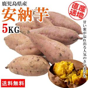 安納芋 さつまいも 5kg 産地直送 産直 土付き さつま芋 薩摩芋 焼きいも 焼き芋 石焼き芋 芋 いも イモ 鹿児島県産 ngs-006