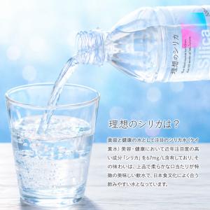 シリカ水 500ml 48本 高濃度シリカ水 ...の詳細画像2