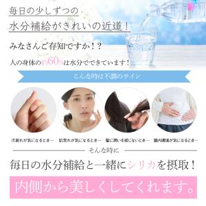 シリカ水 500ml 48本 高濃度シリカ水 ...の詳細画像4
