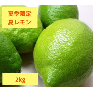 広島県産レモン【A】2kg  　送料無料　柑橘栽培に適した瀬戸内海　瀬戸内産　季節により薫り・美味しさの違いをお楽しみに！｜レモン屋ますだ
