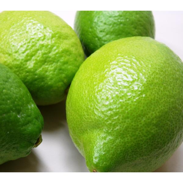 広島県産レモン【A】2kg  　送料無料　柑橘栽培に適した瀬戸内海　瀬戸内産　季節により薫り・美味し...