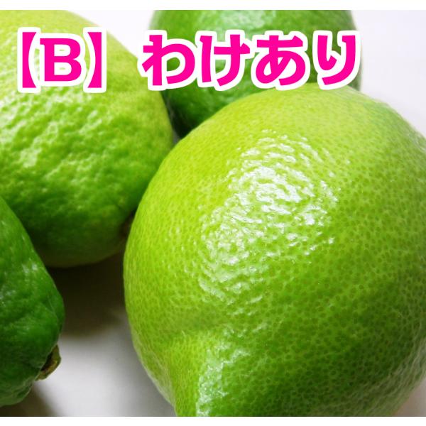 広島県産レモン【B】わけあり　5kg　キズあり　送料無料　柑橘栽培に適した瀬戸内海　瀬戸内産　季節に...