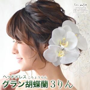 胡蝶蘭 ヘッドドレス 生花の商品一覧 通販 Yahoo ショッピング