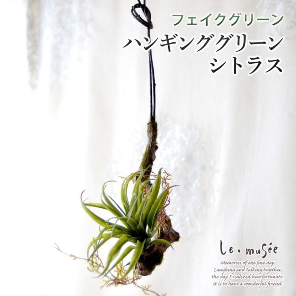 観葉植物 造花 ハンギンググリーン フェイク おしゃれ インテリア リアル 壁掛け ミニ シトラス