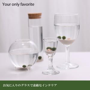 まりも3点セット M(大)タイプ +光る石付き...の詳細画像1