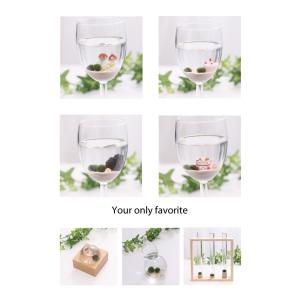 まりも3点セット M(大)タイプ +光る石付き...の詳細画像3