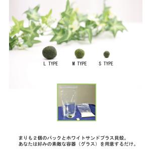 まりも3点セット M(大)タイプ +光る石付き...の詳細画像4