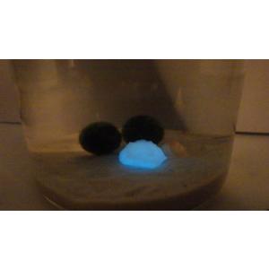 まりも3点セット M(大)タイプ +光る石付き...の詳細画像5