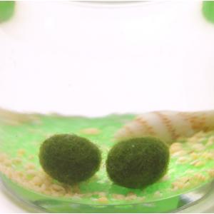 星の砂まりも 緑砂の詳細画像1