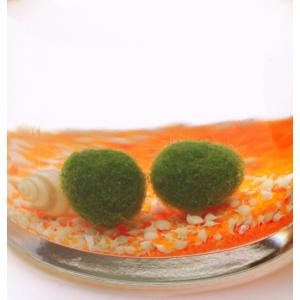 星の砂まりも オレンジ砂の詳細画像1