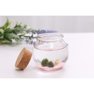 まりもの商品一覧 通販 Yahoo ショッピング