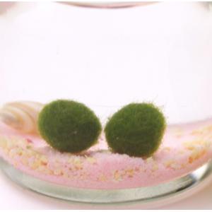 星の砂まりも ピンク砂の詳細画像1