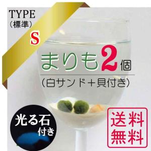 まりも3点セット　Ｓ（標準）タイプ　光る石付き　全国送料無料