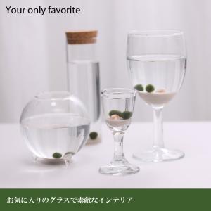 まりも3点セット S(標準)タイプ 光る石付き...の詳細画像1