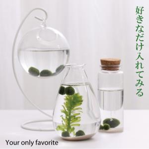 まりも3点セット S(標準)タイプ 光る石付き...の詳細画像2