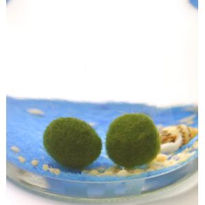 星の砂まりも 青砂の詳細画像1