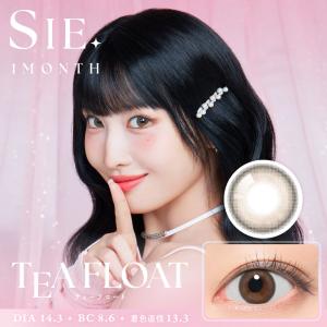 シー ワンマンス 2枚入り 1箱 カラコン S...の詳細画像4