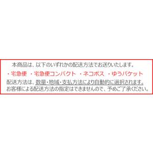 優良配送 2ウィークメニコンプレミオ 2WEE...の詳細画像1