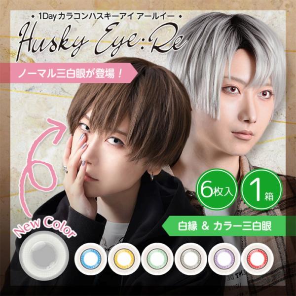 カラコン ワンデー カラーコンタクト 6枚 1day アシストシュシュ ハスキーアイ ワンデー 1箱...