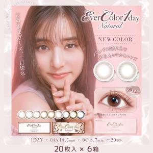 エバーカラーワンデーナチュラル 20枚 6箱 EverColor1day Natural カラコン 度あり 度付き 度なし 度入り one day｜lens-deli