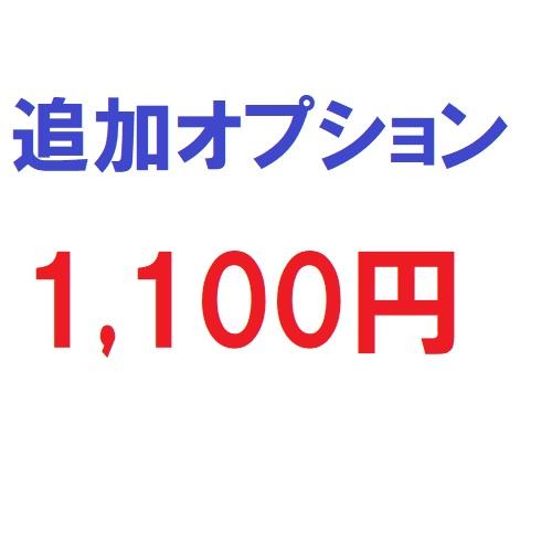 追加オプション1100円