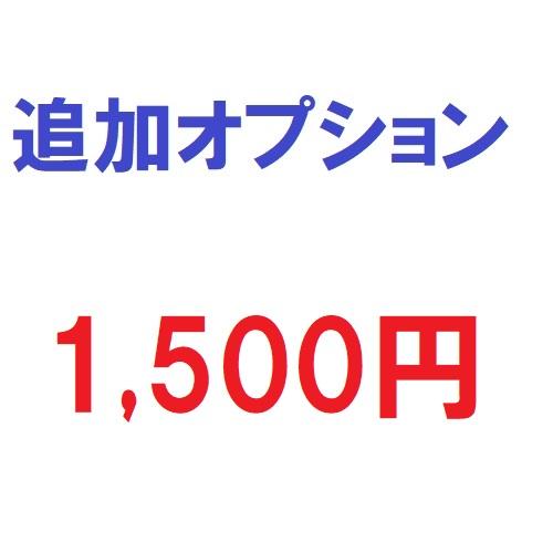 追加オプション1500円