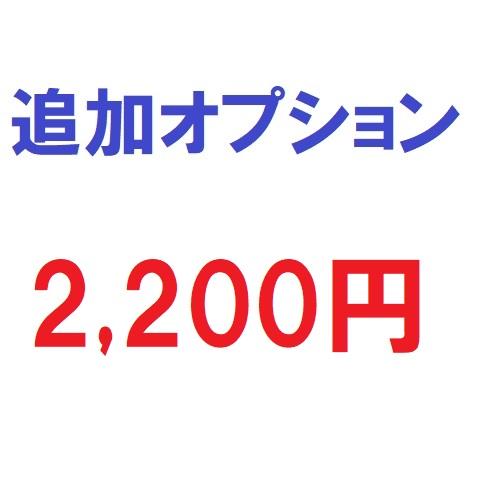 追加オプション2200円
