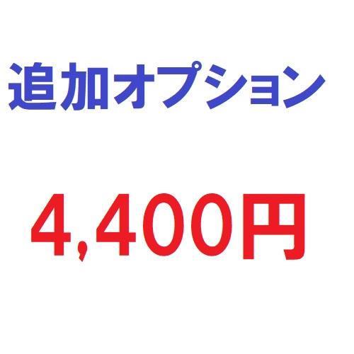 追加オプション4400円