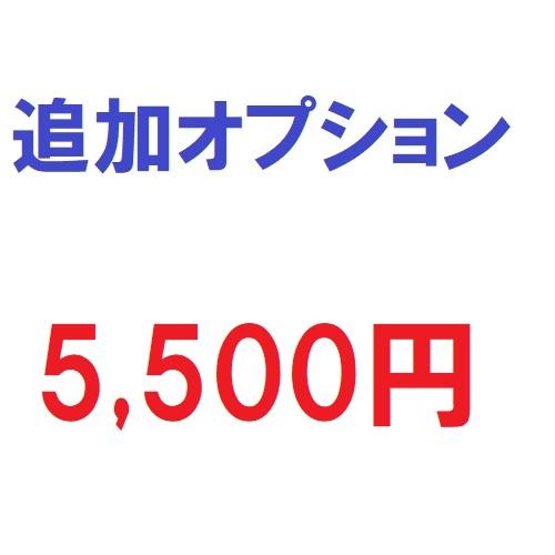 追加オプション5500円